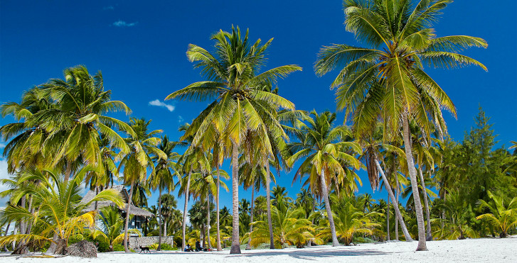 Bayahibe