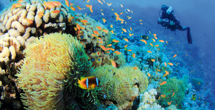 Atoll de Lhaviyani