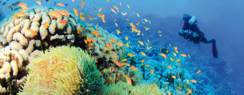 Lhaviyani Atoll Lhaviyani Atoll
