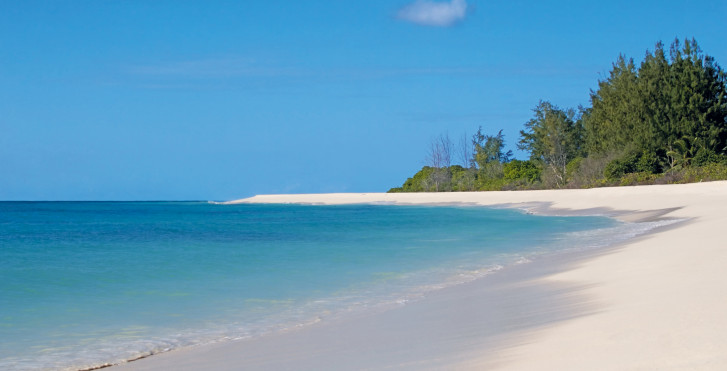 Bird Island