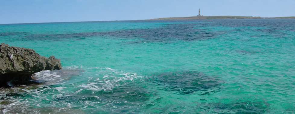 Punta Prima
