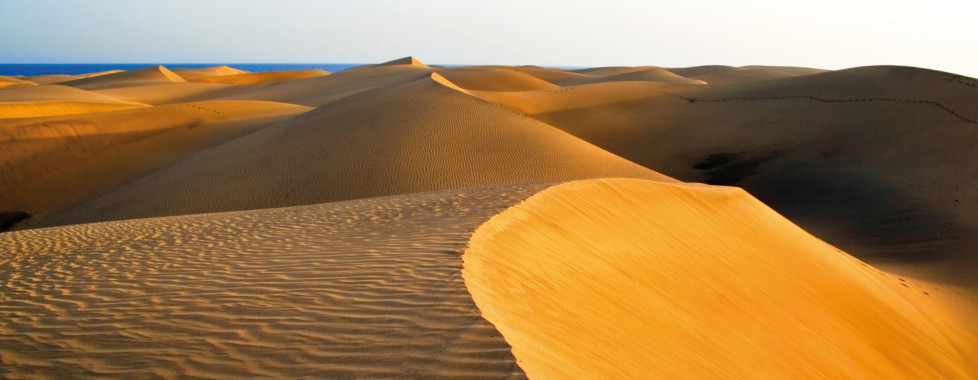 Dunes mouvantes de Maspalomas