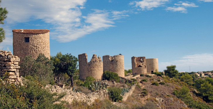 Oliva