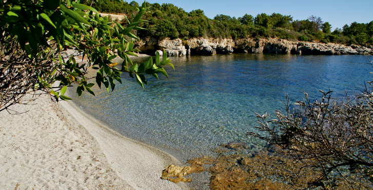 Favone