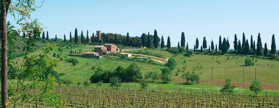 Valiano / Montepulciano