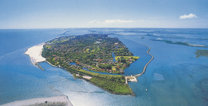 Albarella