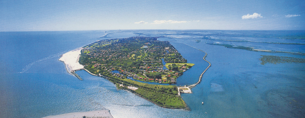 Albarella