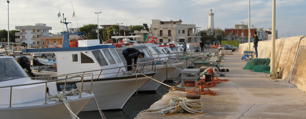 Torre Canne