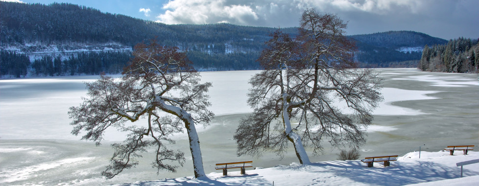 Winter im Schwarzwald