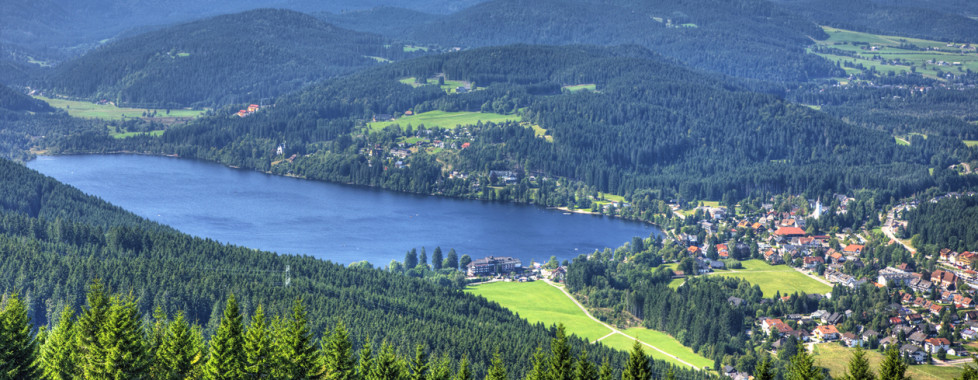 Vue sur Titisee