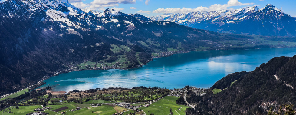 Blick auf den See im Sommer