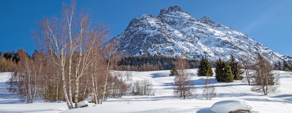 Piz Pisoc en été