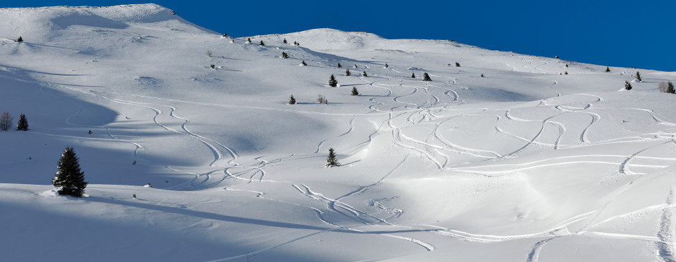 Paysage de d'hiver