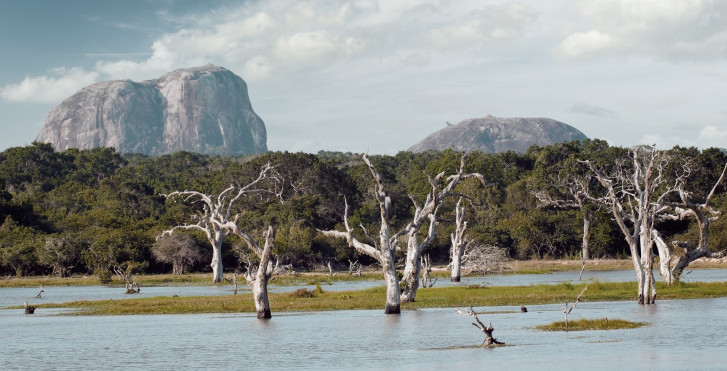 Parc national Yala