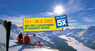 Forfaits ski - Lac Léman / Pays de Vaud