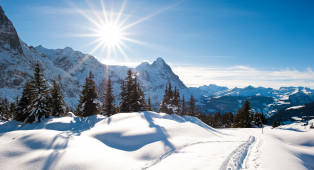 Ferien in der Schweiz - Lago Maggiore (Schweizer Seite)