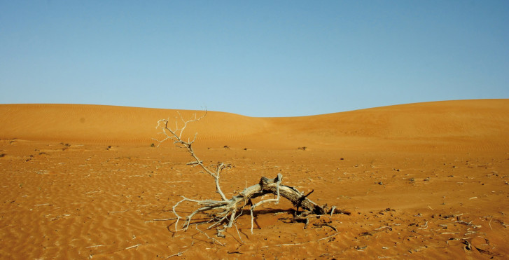 Wüste bei Sur