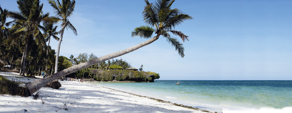 Tiwi Beach