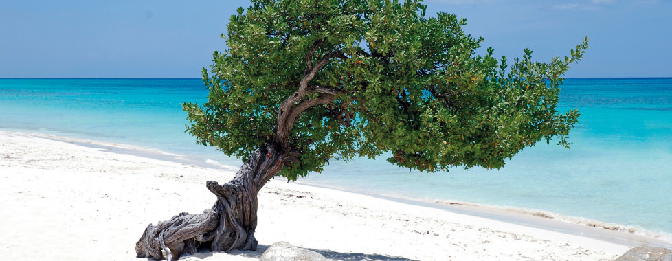 Eagle Beach