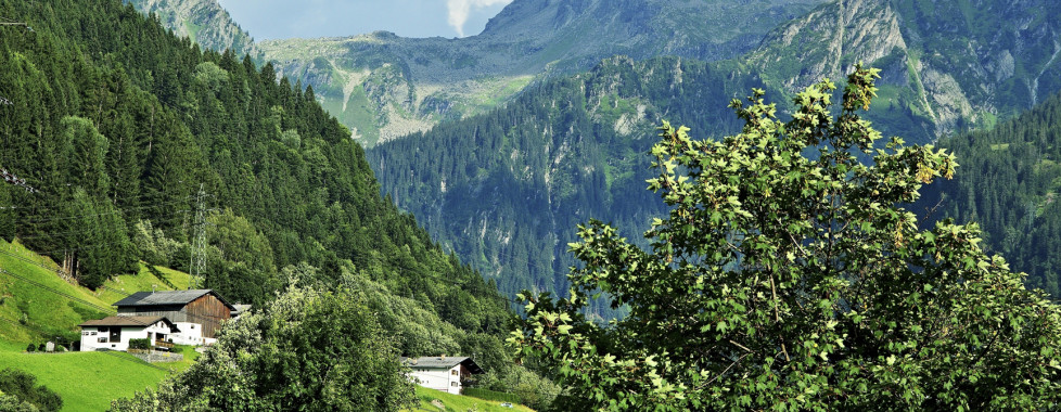 Vue sur Breiter Spitz