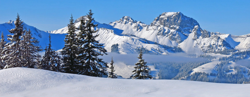 Sicht auf den Berg Videmanette, Gstaad