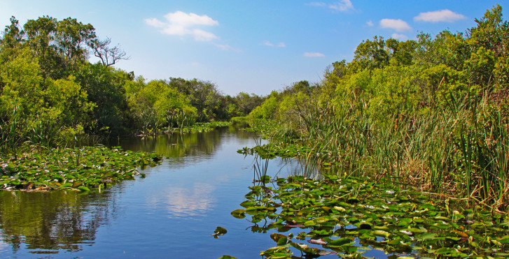 Everglades