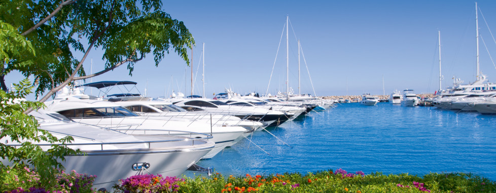 Calvi