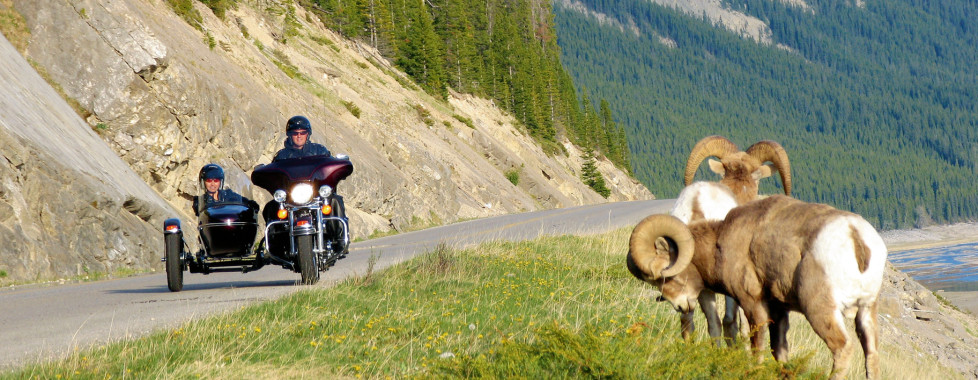 Lodge Maligne, Jasper - Vacances Migros