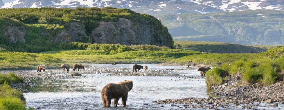 Land's End Resort, Restliches Alaska - Migros Ferien
