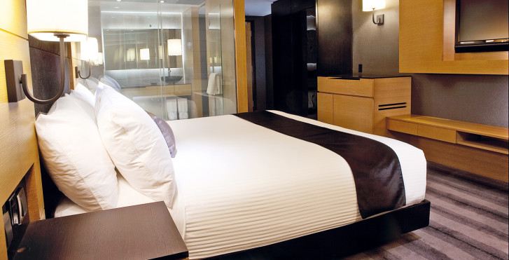 Standard-Zimmer - Ramada Plaza Prince George