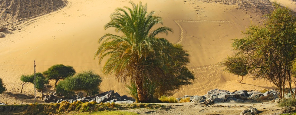 Sofitel Legend Old Cataract, Aswan, Assuan - Migros Ferien