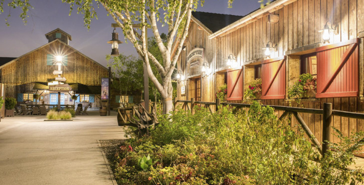Disney Davy Crockett Ranch - incl. entrée parc