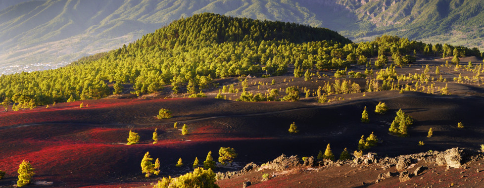 Valle Aridane, La Palma - Vacances Migros