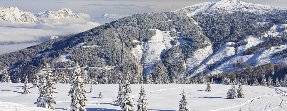 Best Western Plus Plaza Hotel Graz, Steiermark - Migros Ferien