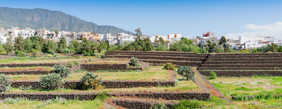 Güímar