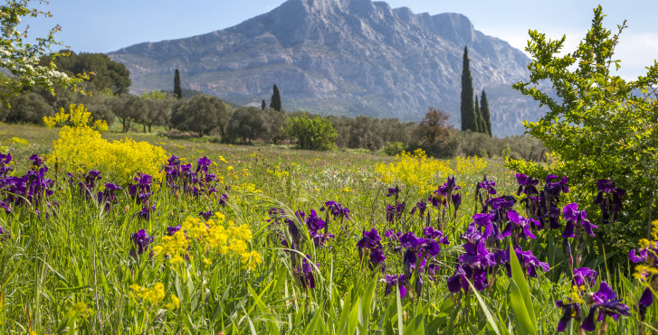 Sainte Victoire / © Sophie Spiteri