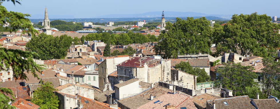 Avignon