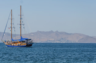 MS Eleftheria