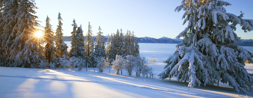 Winterlandschaft