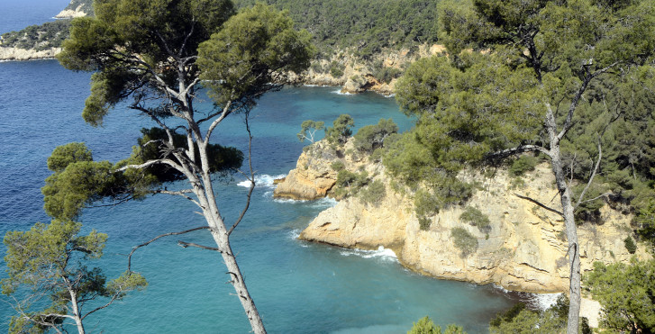 Bandol