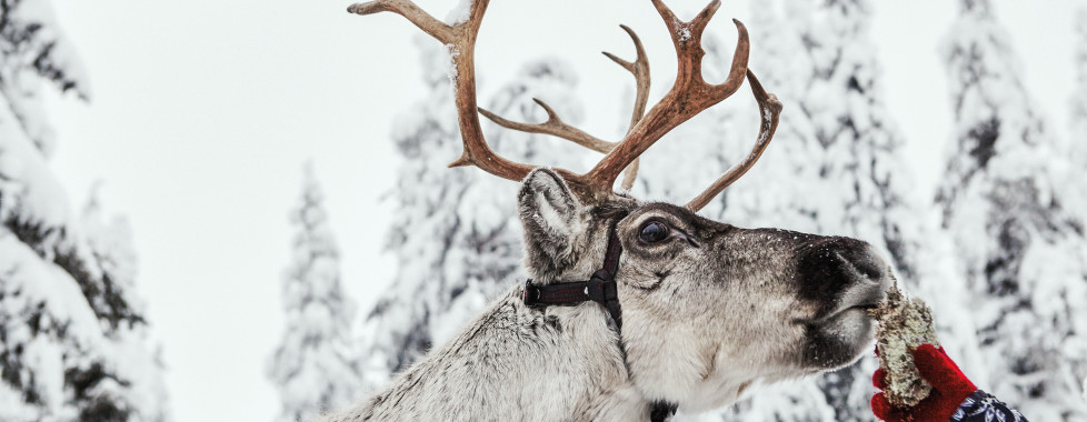 Kuusamo