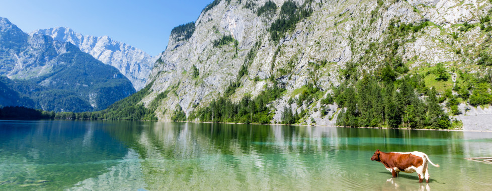 Königssee im Berchtesgadener Land