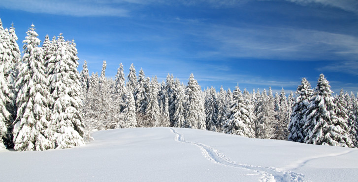 Winter im Jura