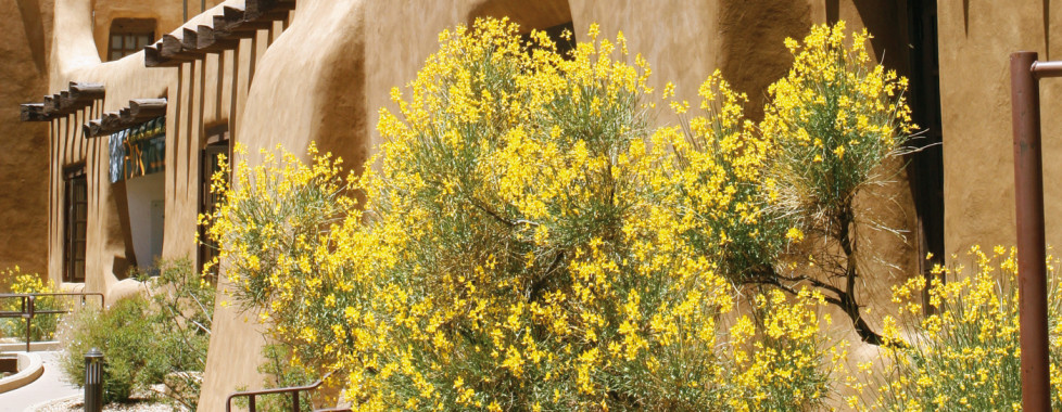 Courtyard Santa Fe, Santa Fe - Vacances Migros