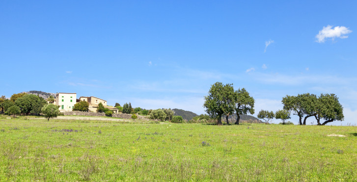Campanet