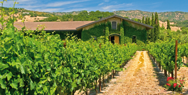 Domaine viticole, Napa Valley