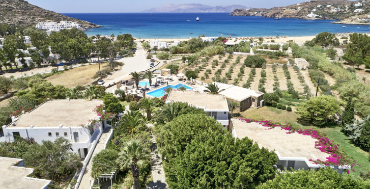 Dionysos Sea Side Resort Ios
