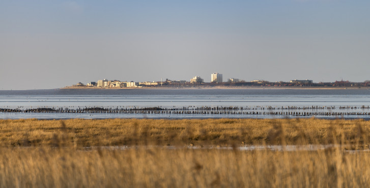 Wattenmeer