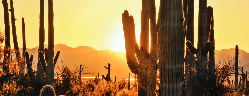 Tucson