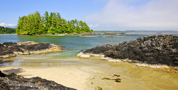 Tofino